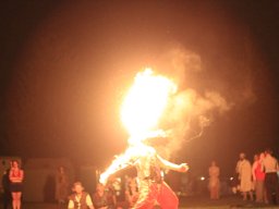 Seadogs 2016