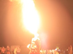 Seadogs 2016