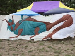Tortuga 2015
